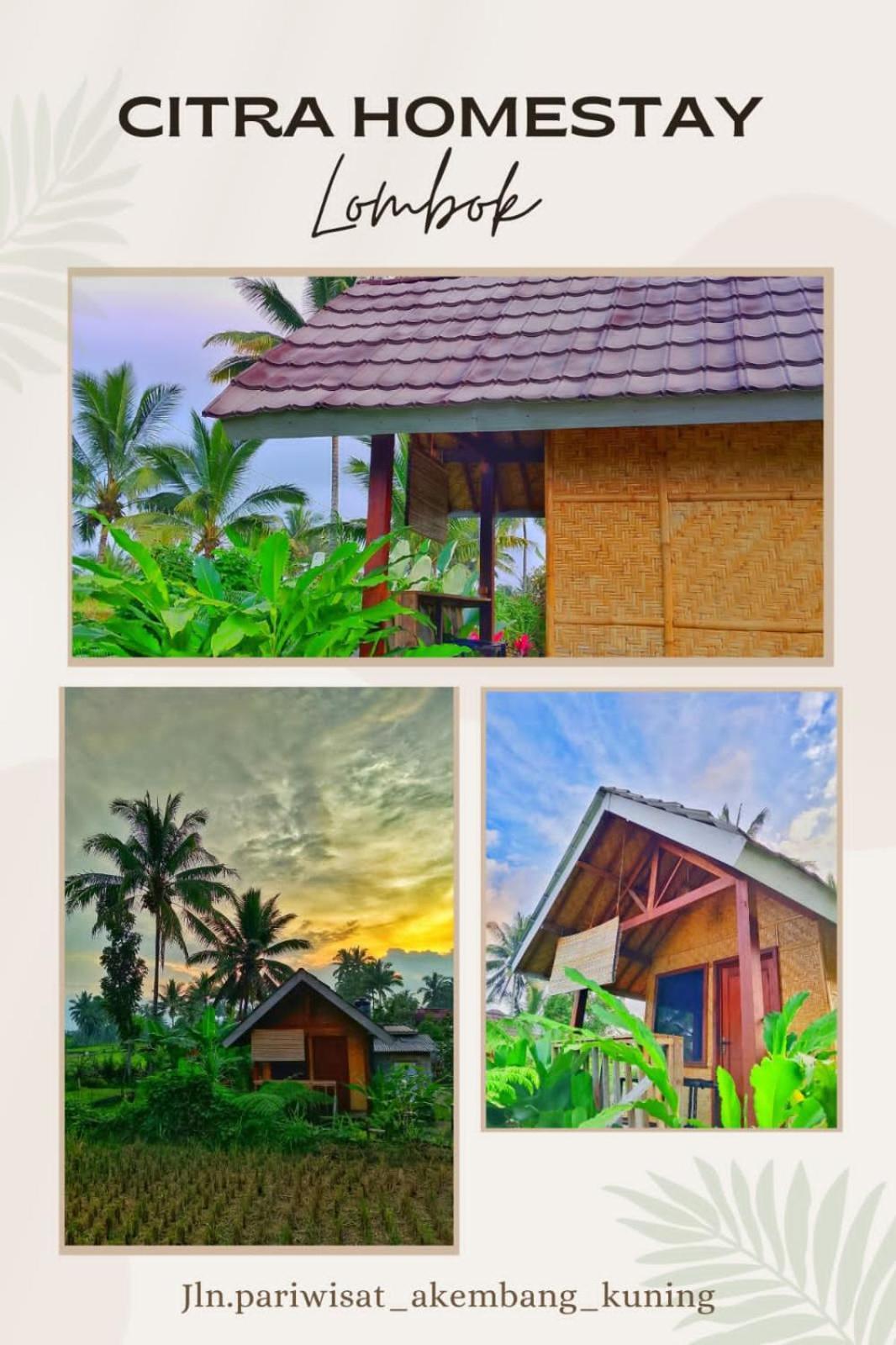 Citra Homestay Tetebatu Exterior foto