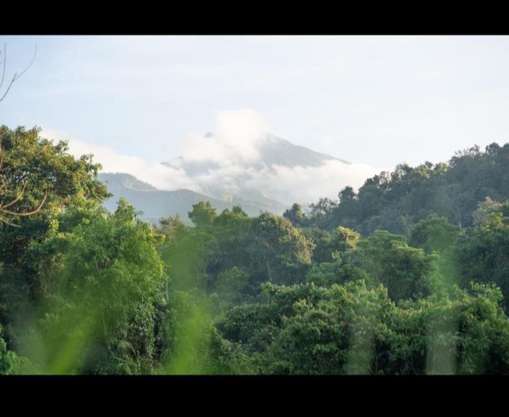 Citra Homestay Tetebatu Exterior foto